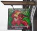 Picture of The Foxy Fiddler
