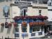 Picture of Gipsy Moth