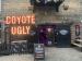Coyote Ugly picture